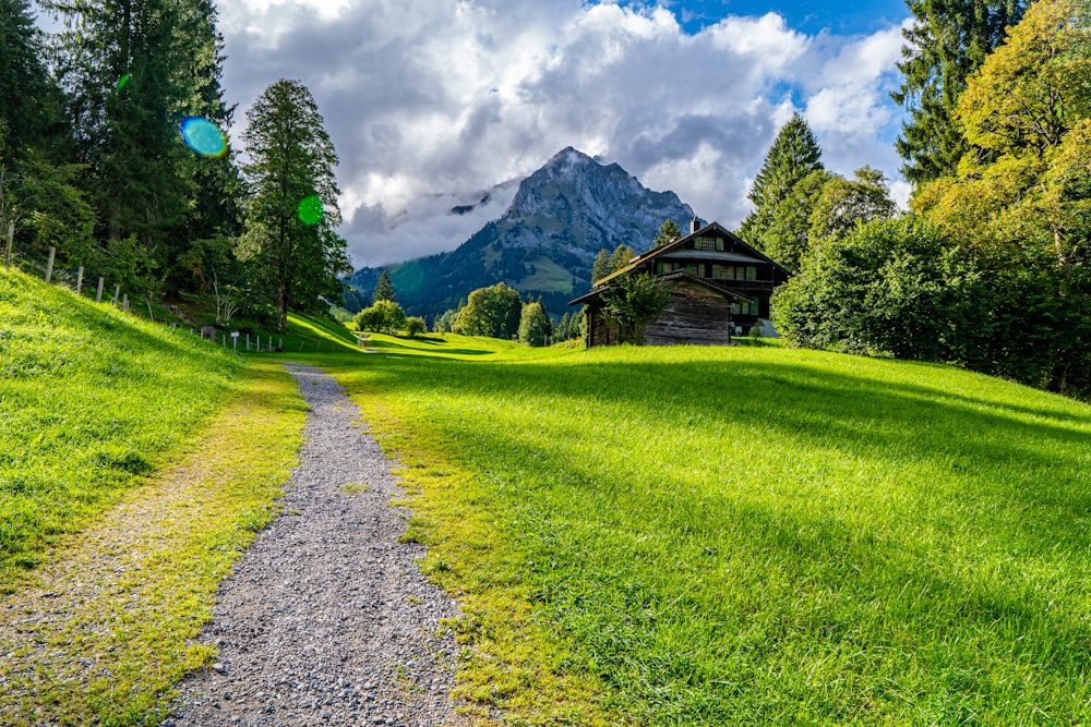 a dirt road going through a lush green field