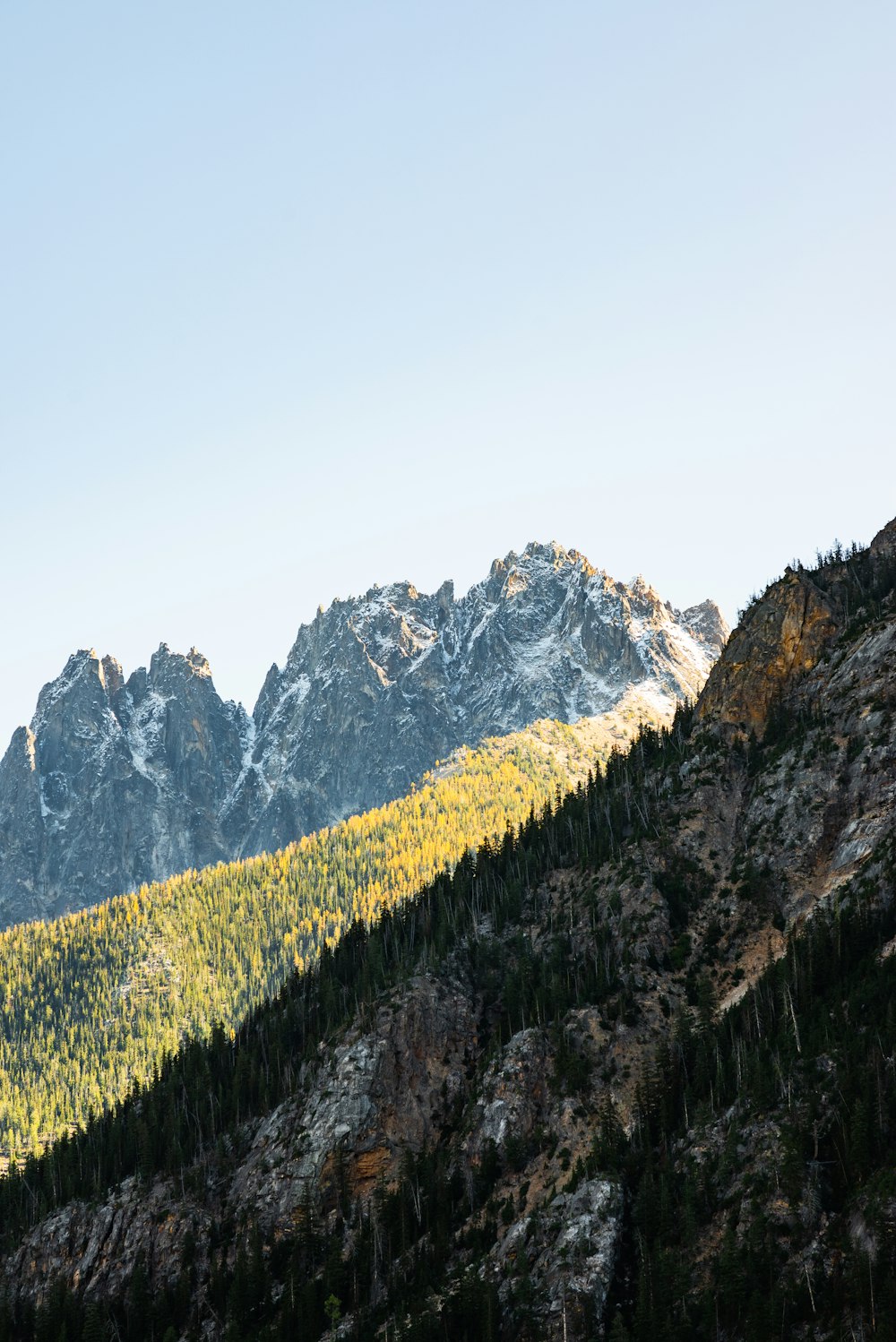 a view of a mountain range with trees in the foreground