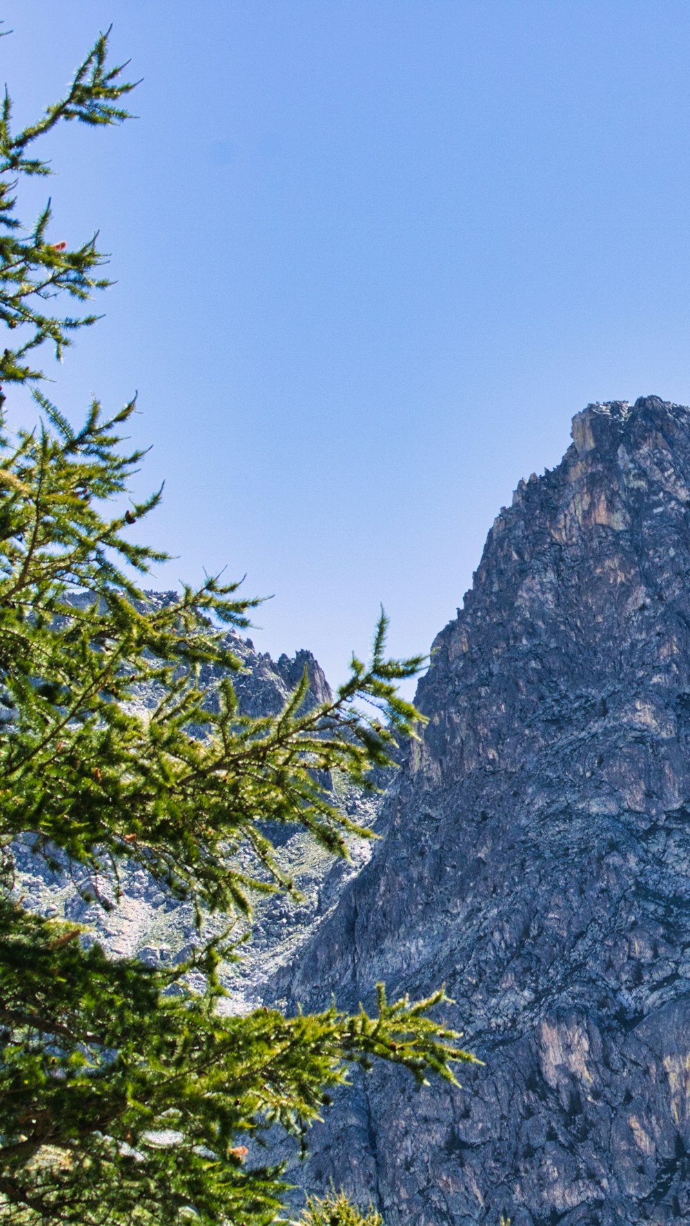 a mountain with a tree in front of it