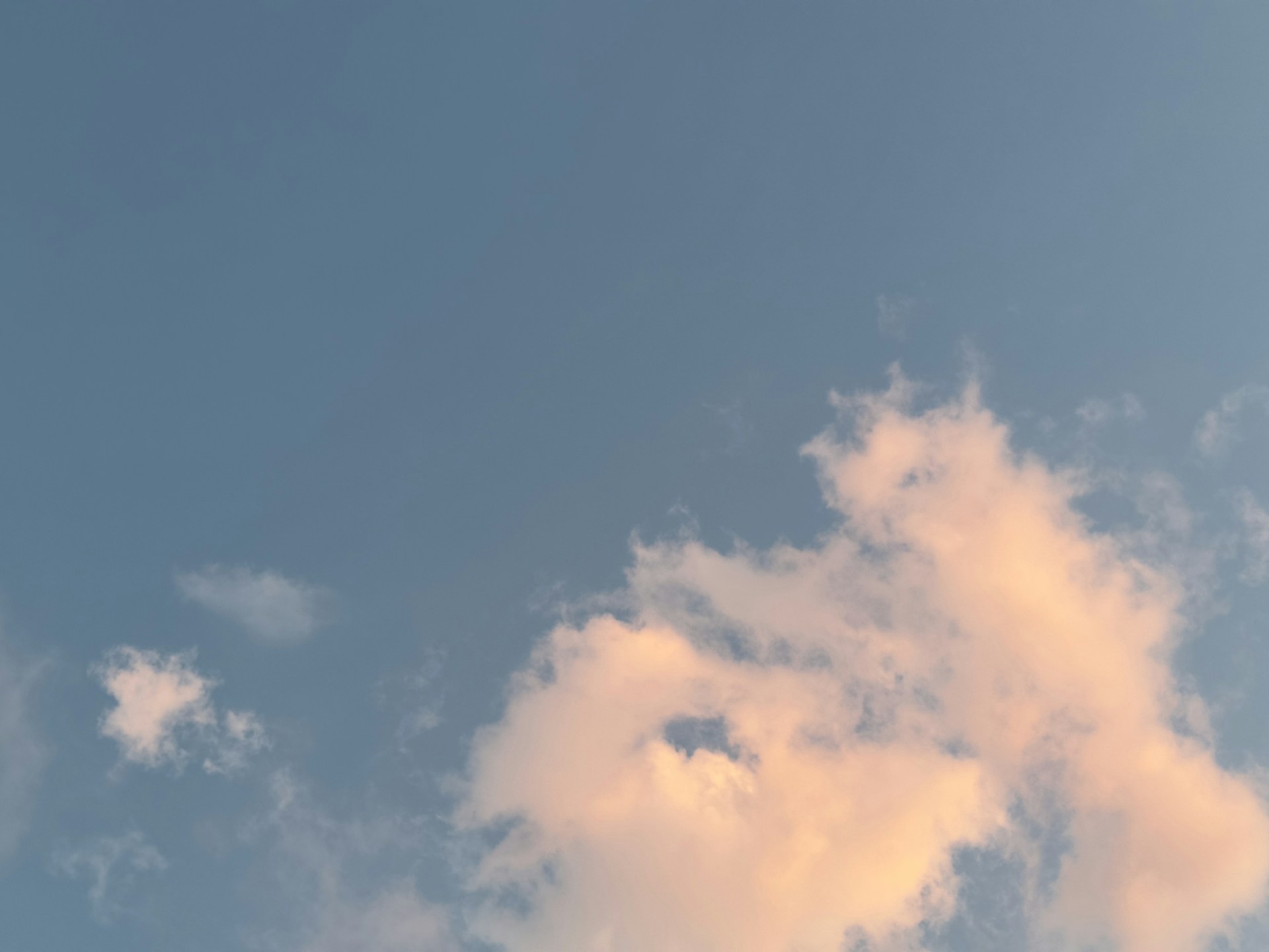 gray computer monitor