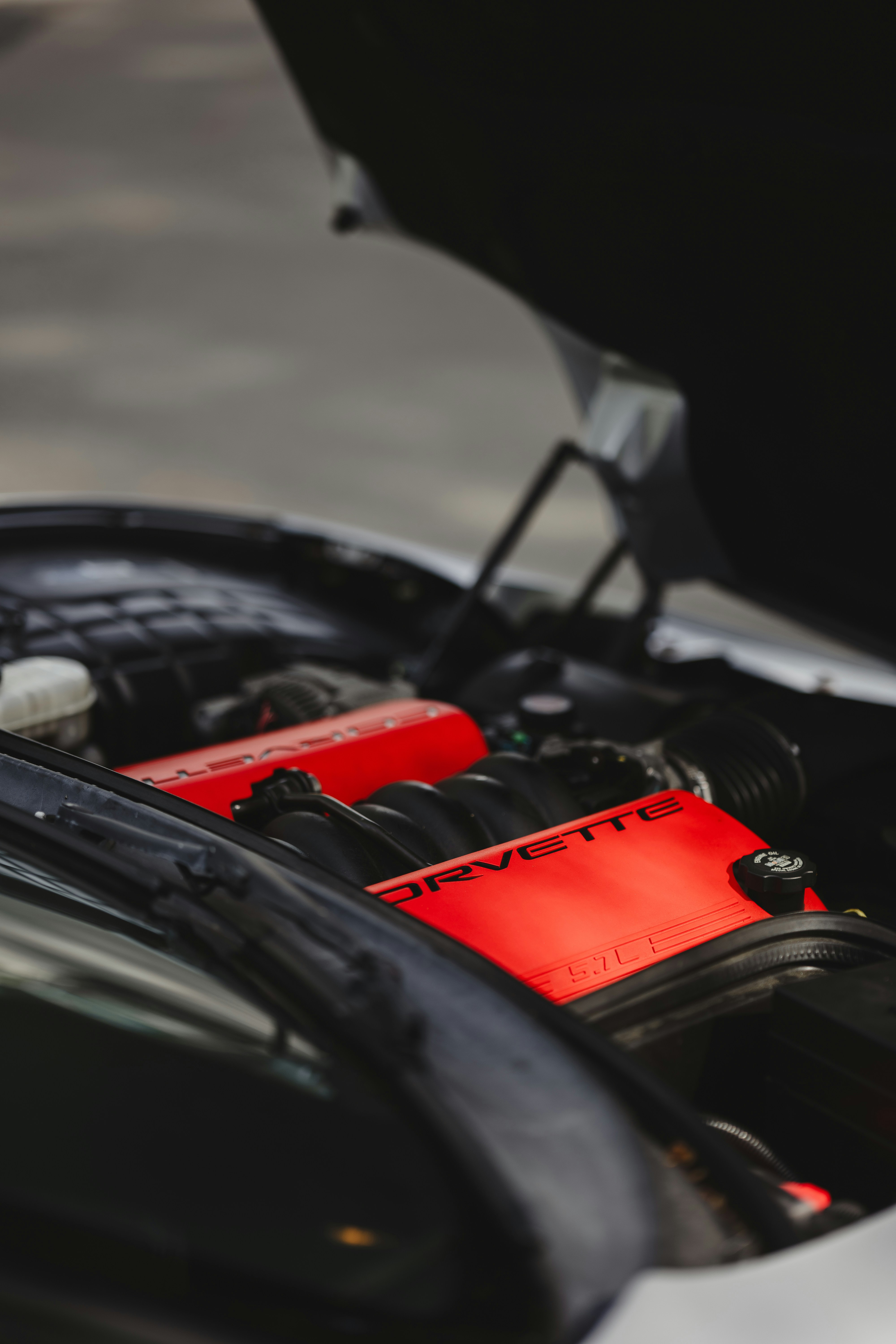 Photo by elmartinbaron