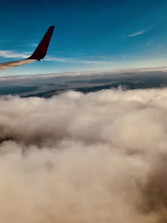 Aerial shot of a jet soaring above the clouds during a clear blue sky day.