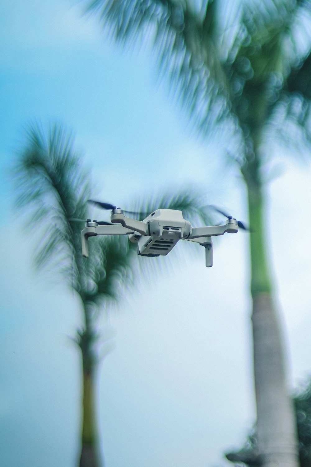 a camera attached to a remote control system flying over a palm tree