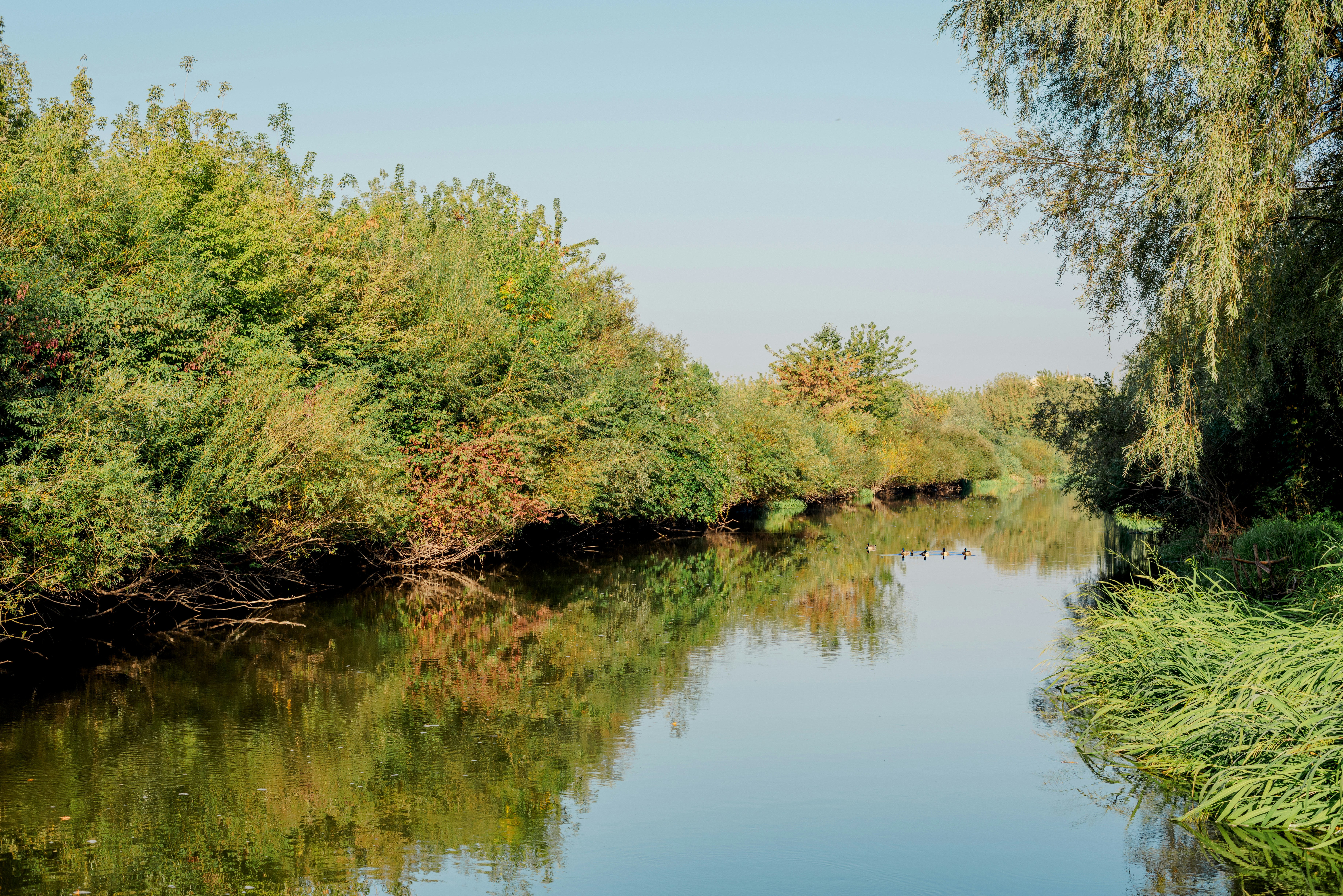 Photo by eugenivy_now