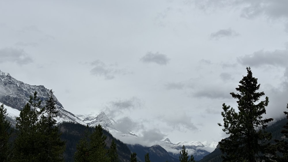 a view of a mountain range with trees in the foreground