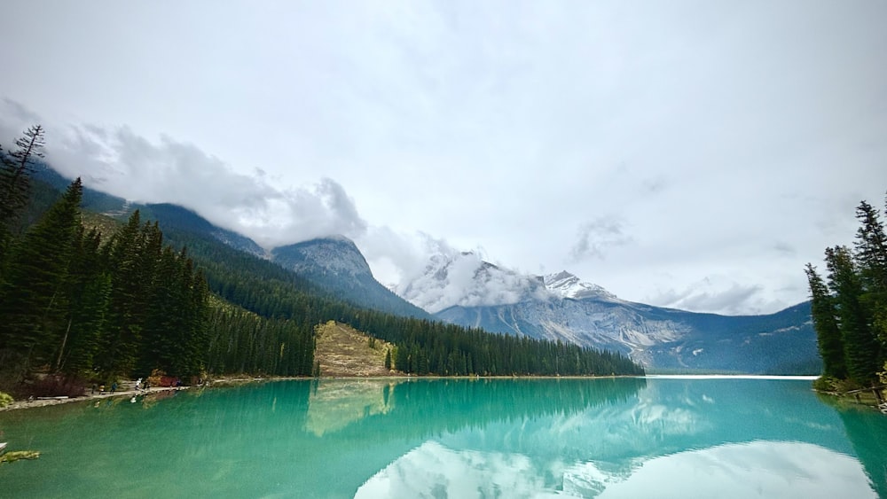 a large body of water surrounded by trees