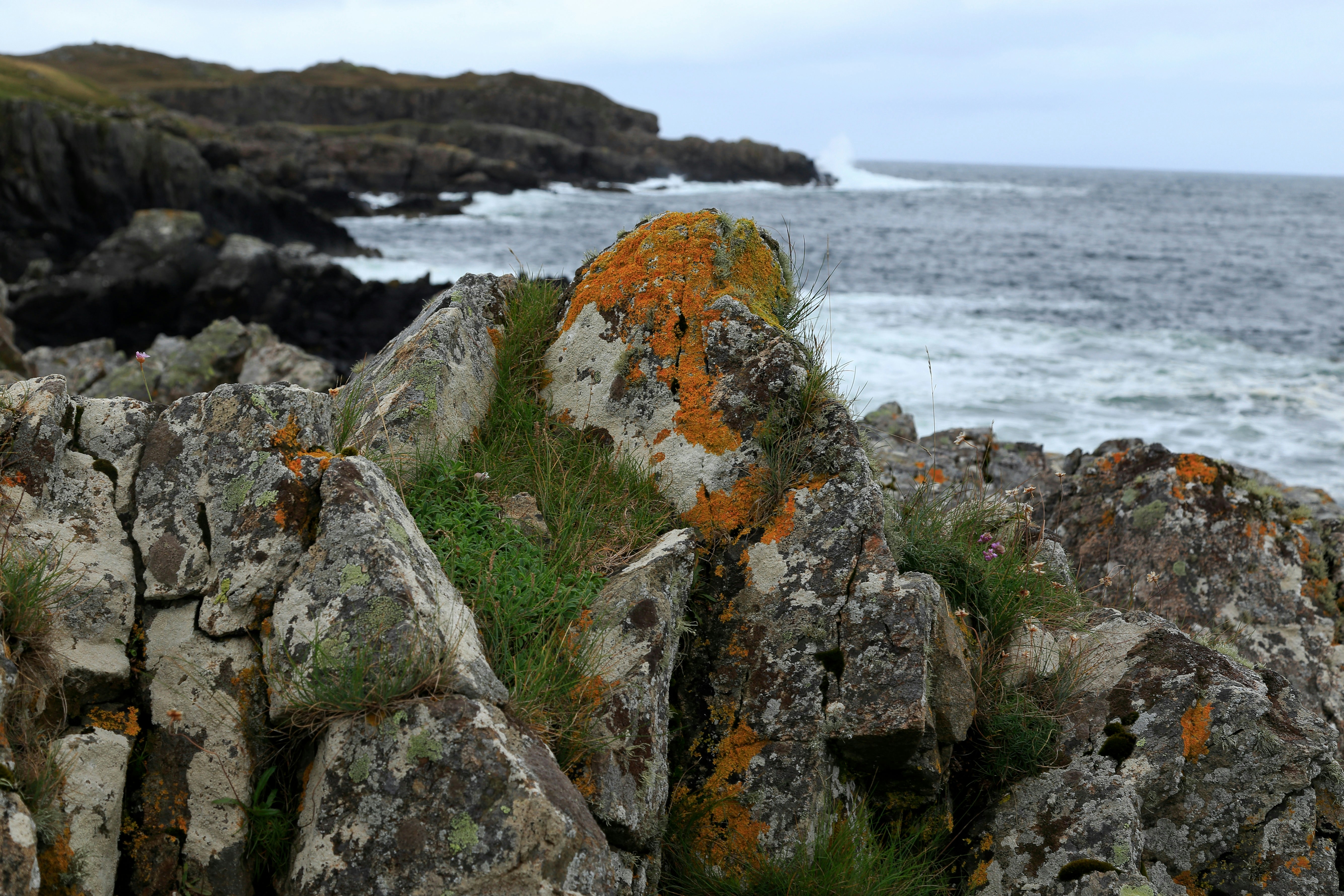 a rock formation with moss growing on top of it