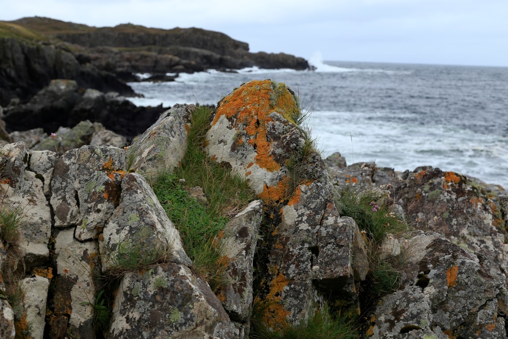 a rock formation with moss growing on top of it