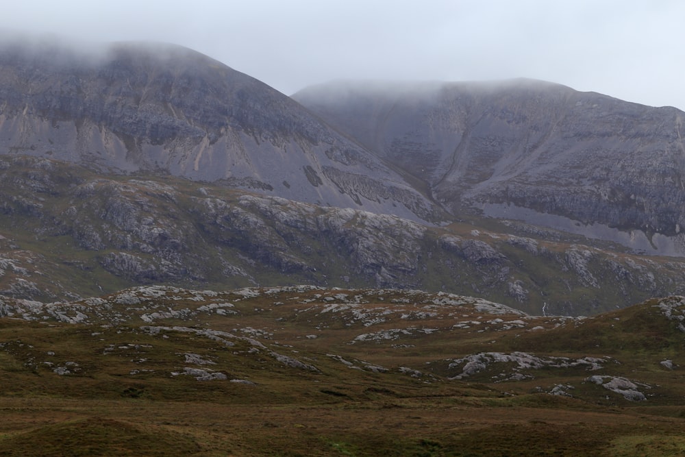 a mountain range with a few sheep grazing in the foreground