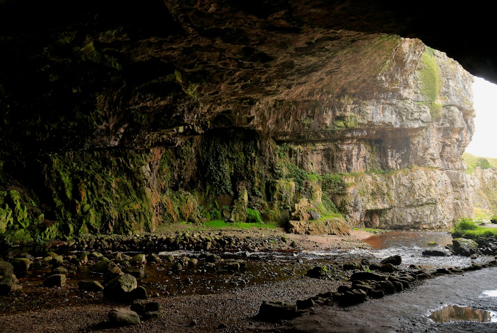 a cave filled with lots of green plants next to a body of water