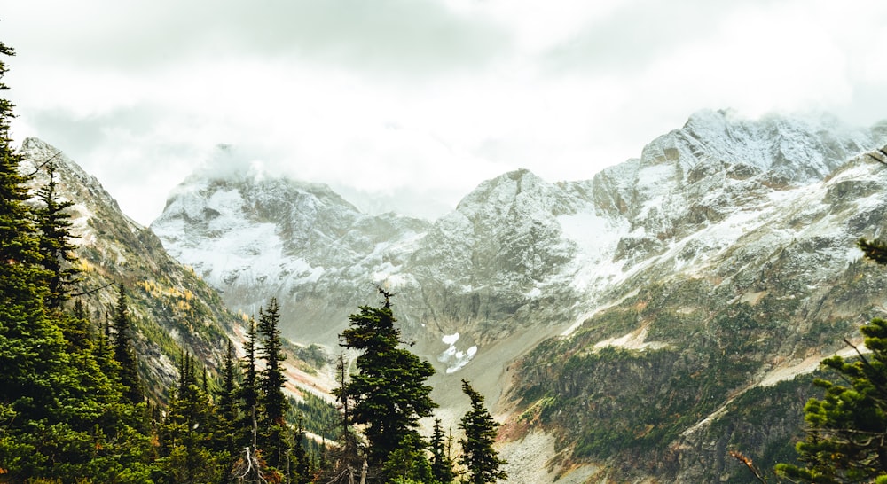 a view of a mountain range with trees and snow