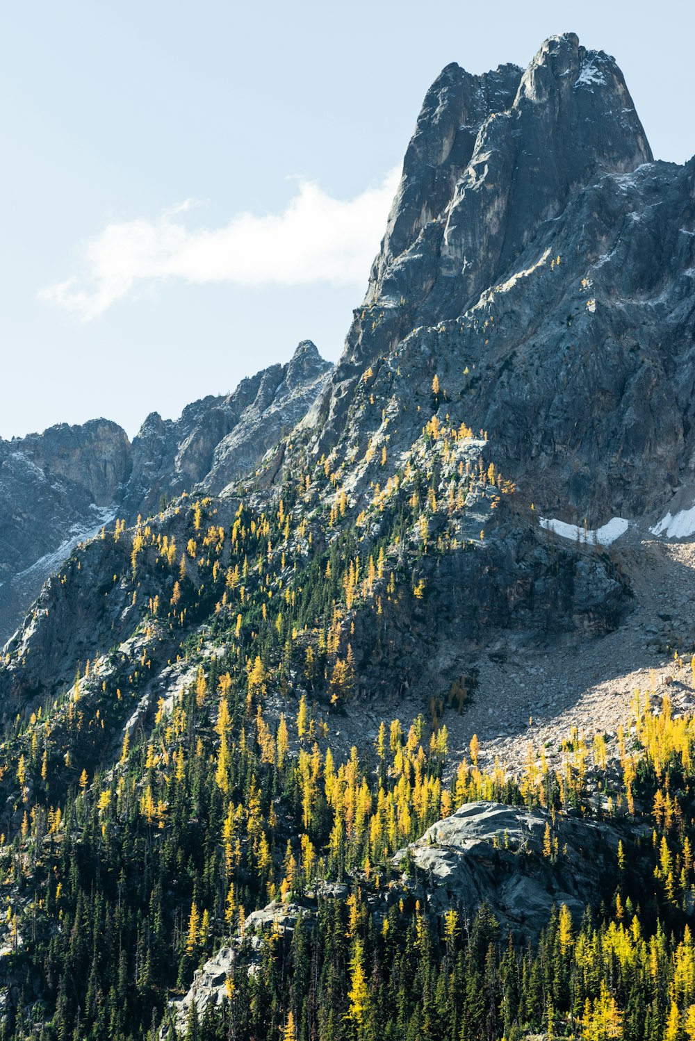 a very tall mountain with a bunch of trees on it