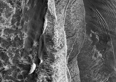 a black and white photo of an elephant's face