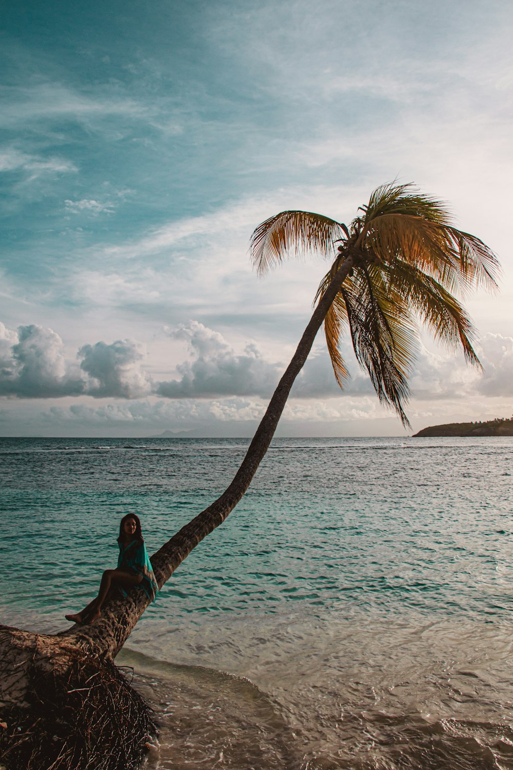 a woman standing on a beach next to a palm tree