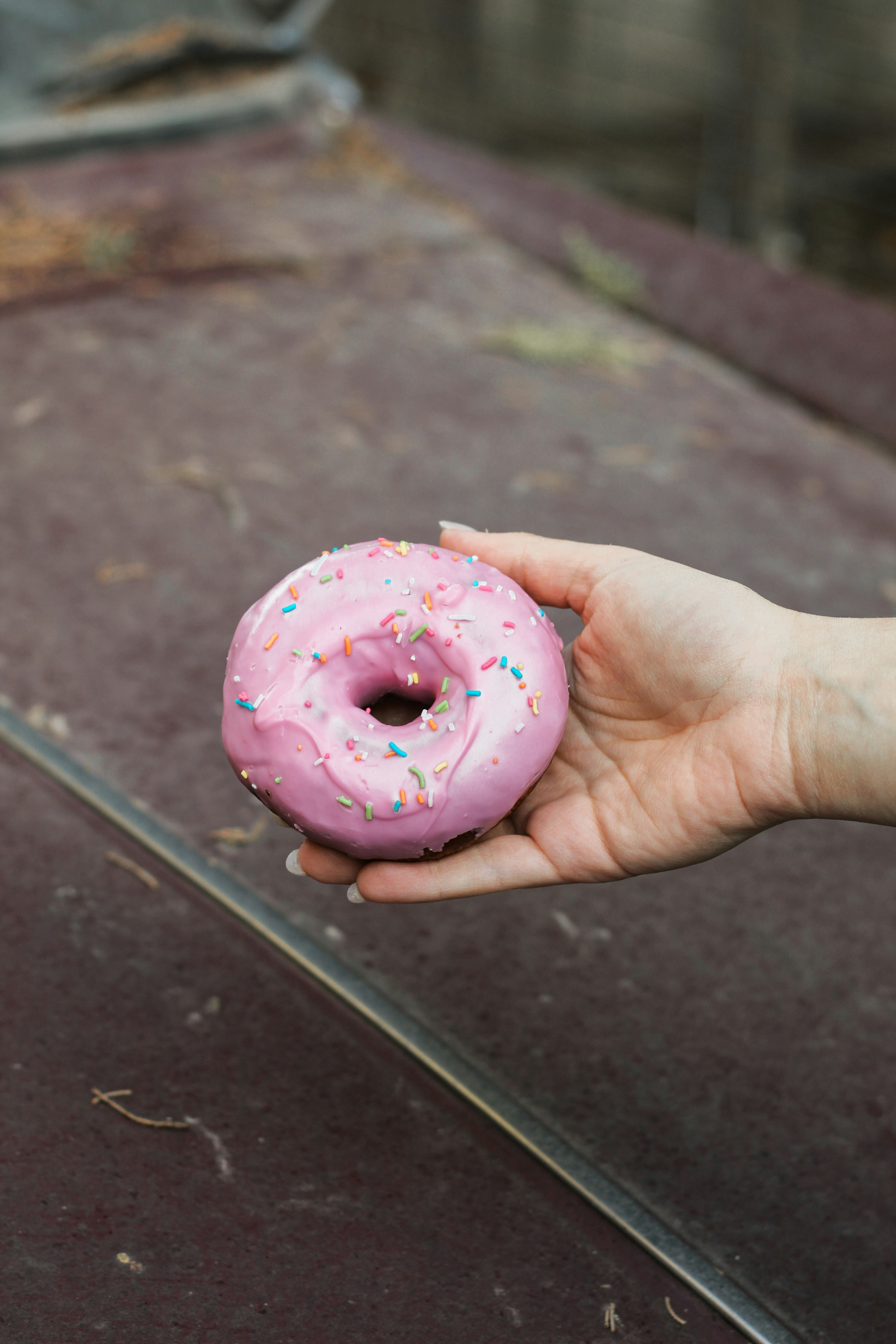 Photo by esrakorkmaz