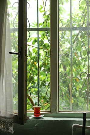 A peaceful morning scene with a cup of herbal tea beside a window overlooking green foliage.