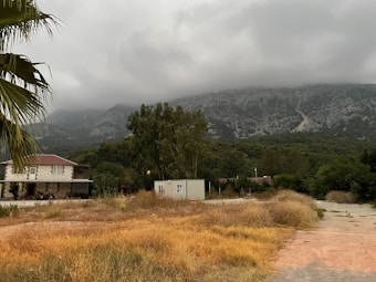 The image depicts a rural landscape with a house on the left side and a small white structure nearby. In the background, there are lush green trees and a mountain partially covered by clouds. The foreground consists of dry grass and a rough pathway. The sky is overcast, creating a moody atmosphere.