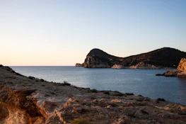 A serene coastal landscape showcasing untouched biodiversity at sunrise.