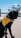 A black Labrador wearing a yellow and blue vest labeled 'Canine Companions' is sitting on an airport tarmac. Behind the dog, a commercial airplane is parked, with a clear blue sky in the background.