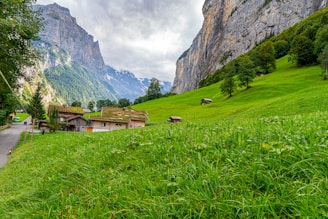 A serene alpine landscape features lush green meadows with scattered houses and a towering rocky mountain in the background. The sky is partly cloudy, creating a tranquil yet dramatic atmosphere.