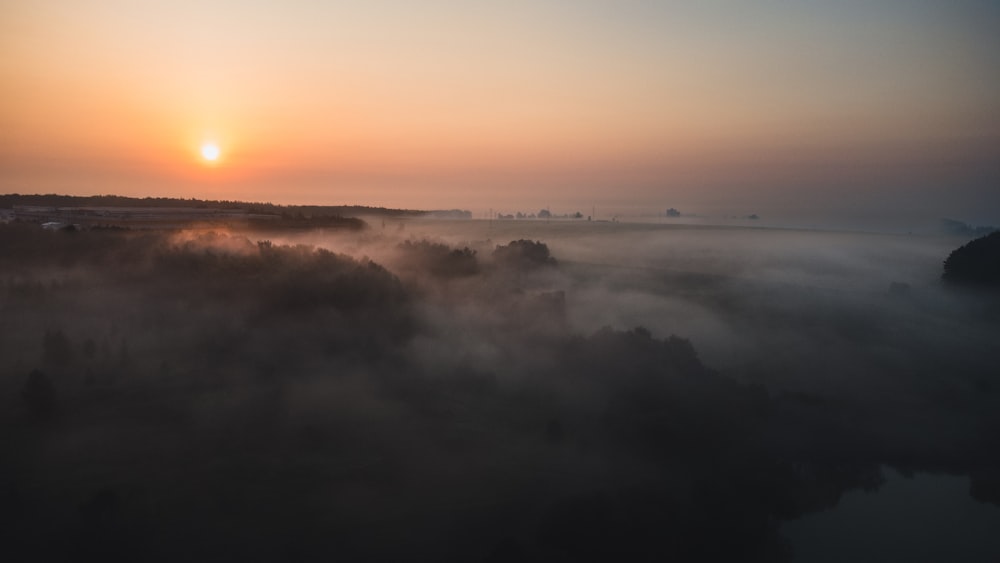 the sun is setting over a foggy forest