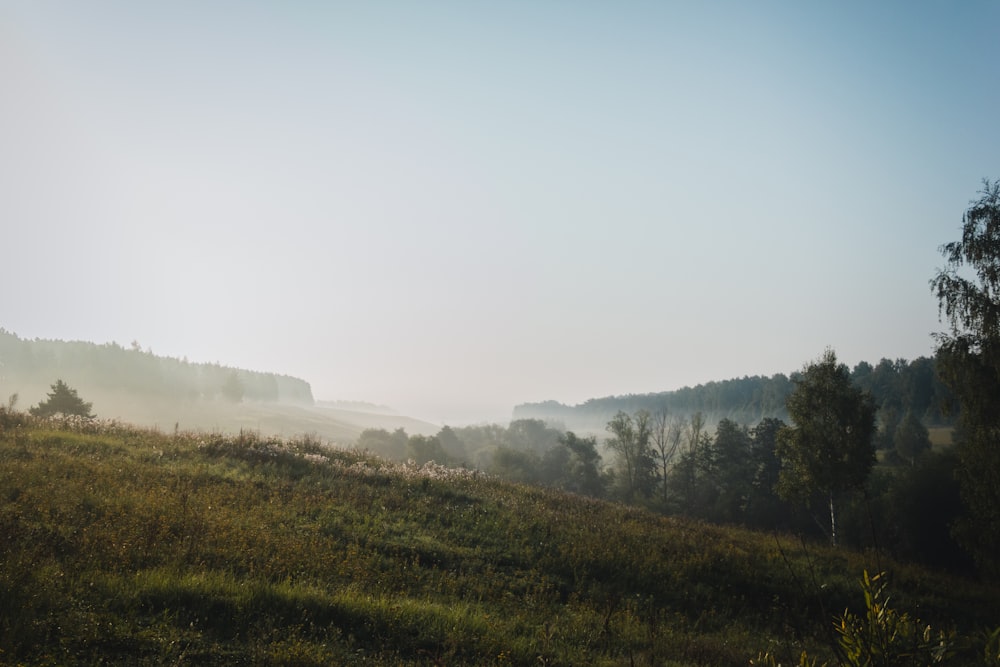 a grassy hill with trees in the distance