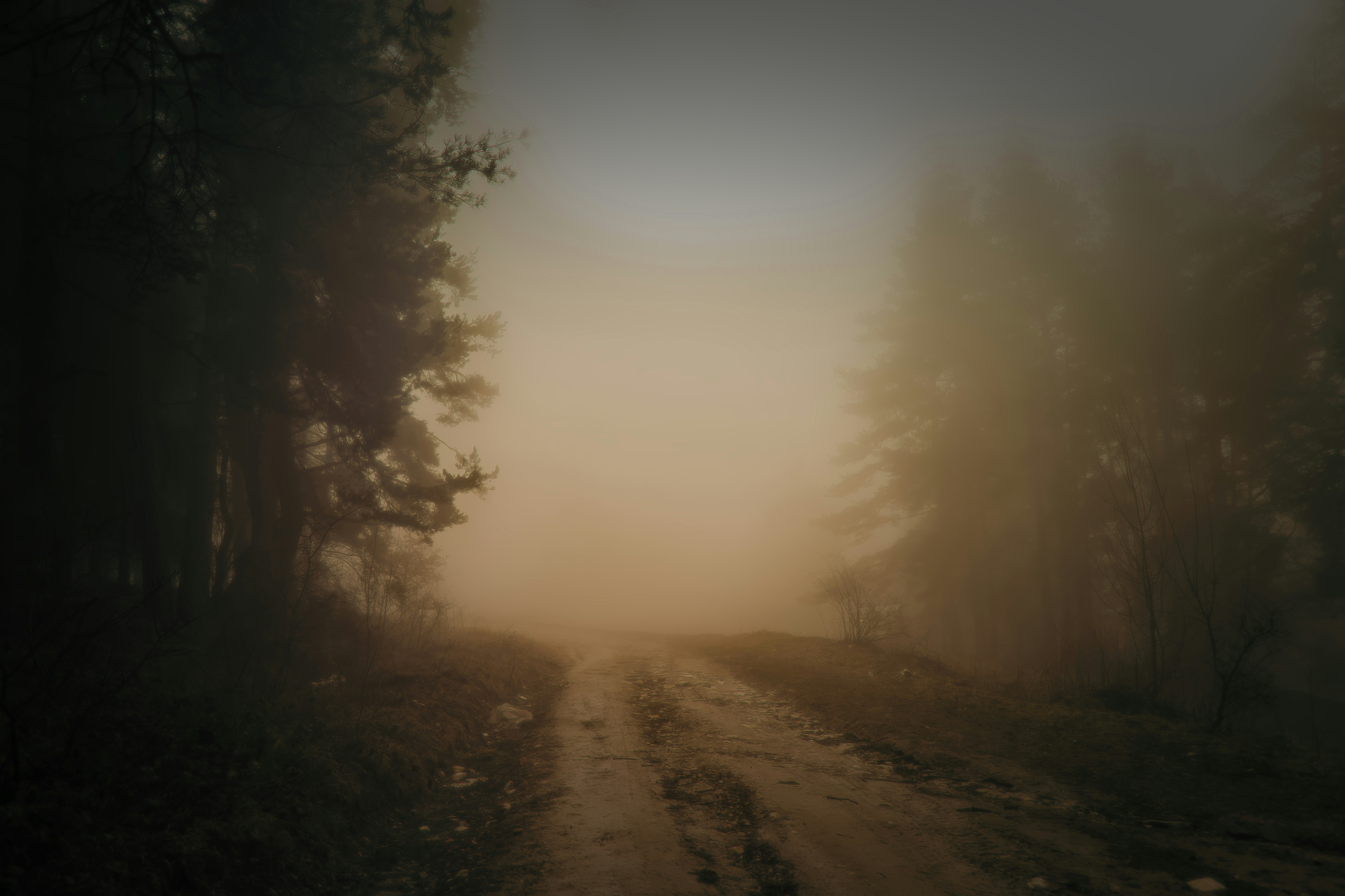 Photo by blooddrainer