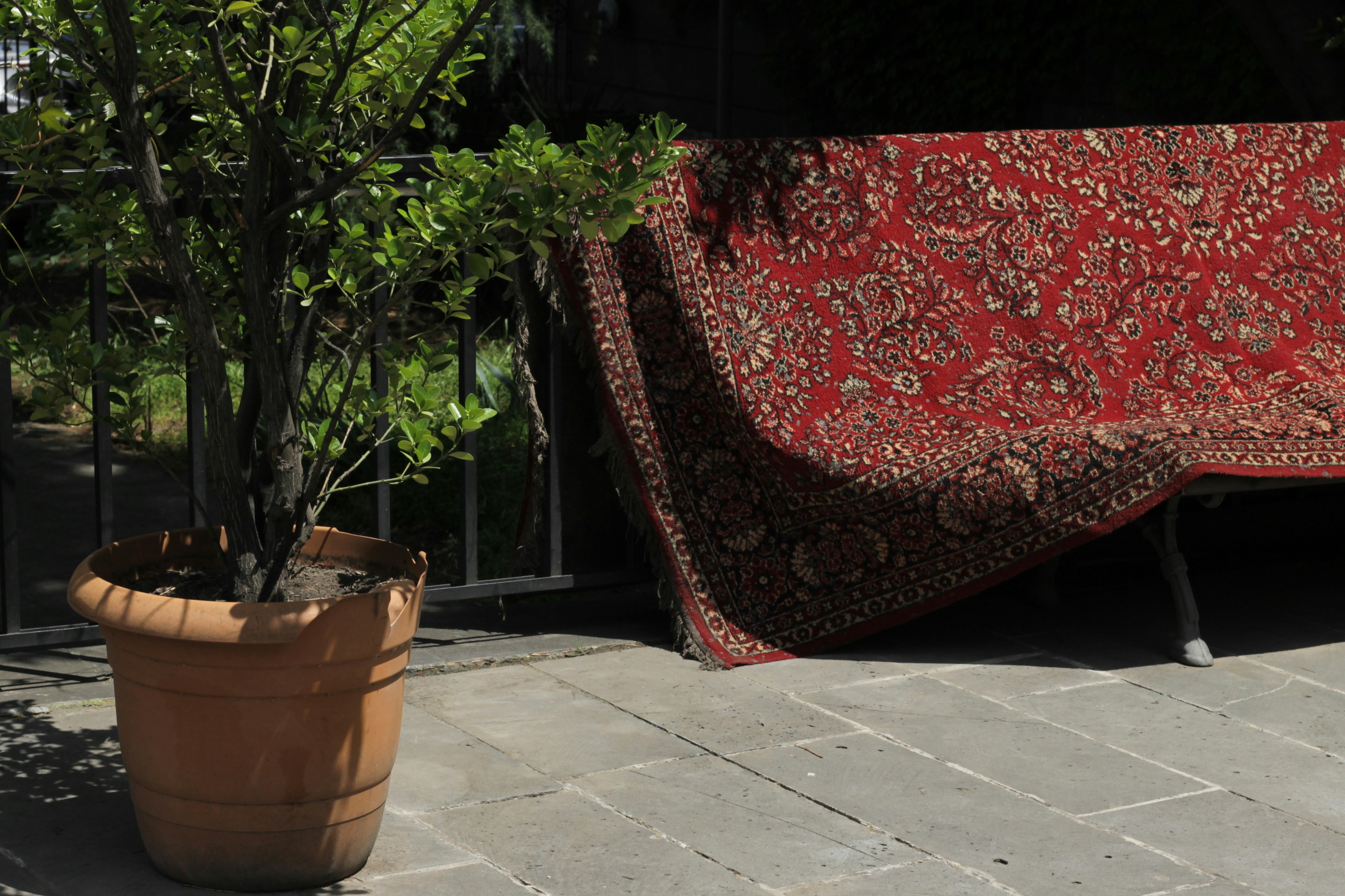 Le Patio de Mezraya