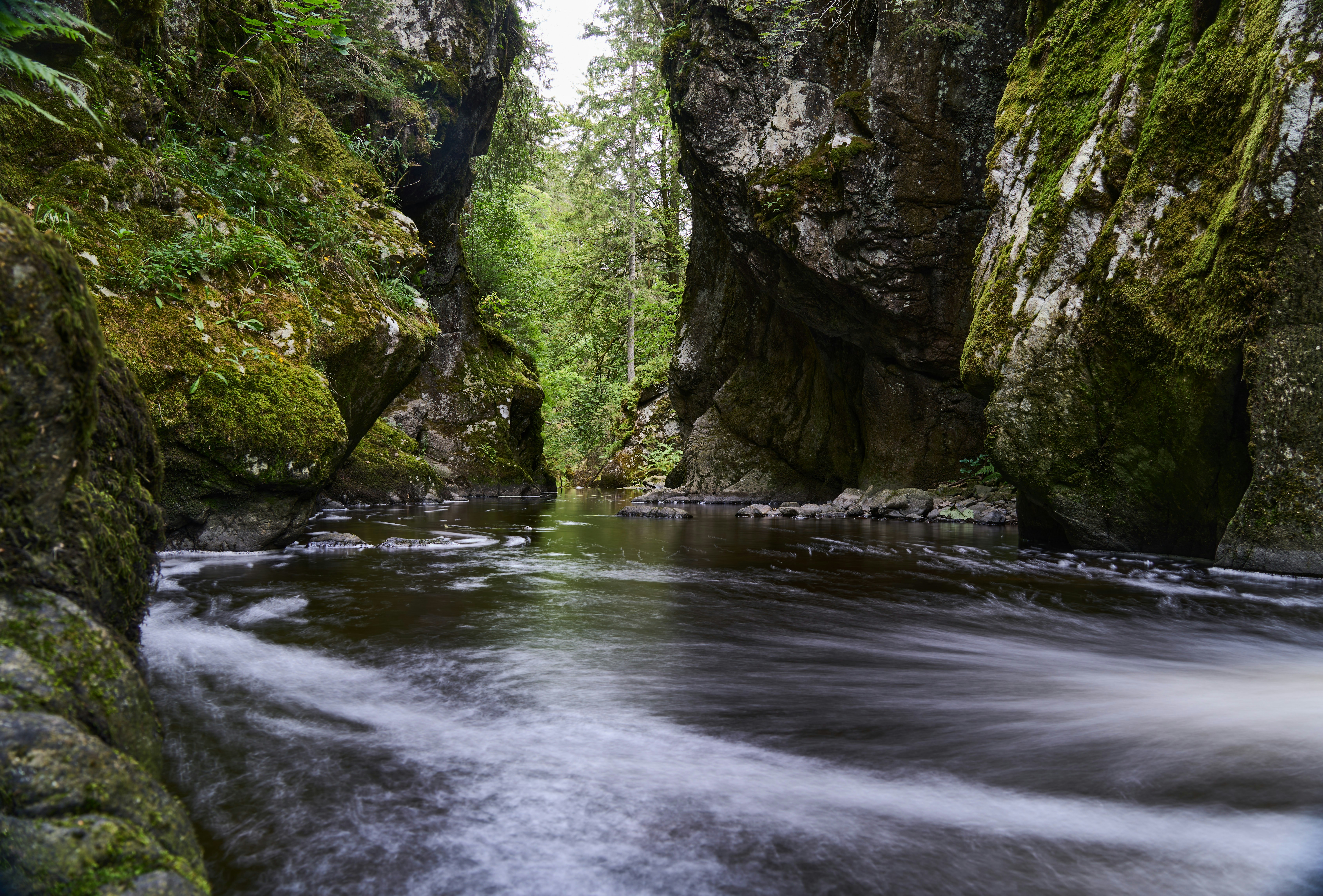 Photo by wolfgang_hasselmann