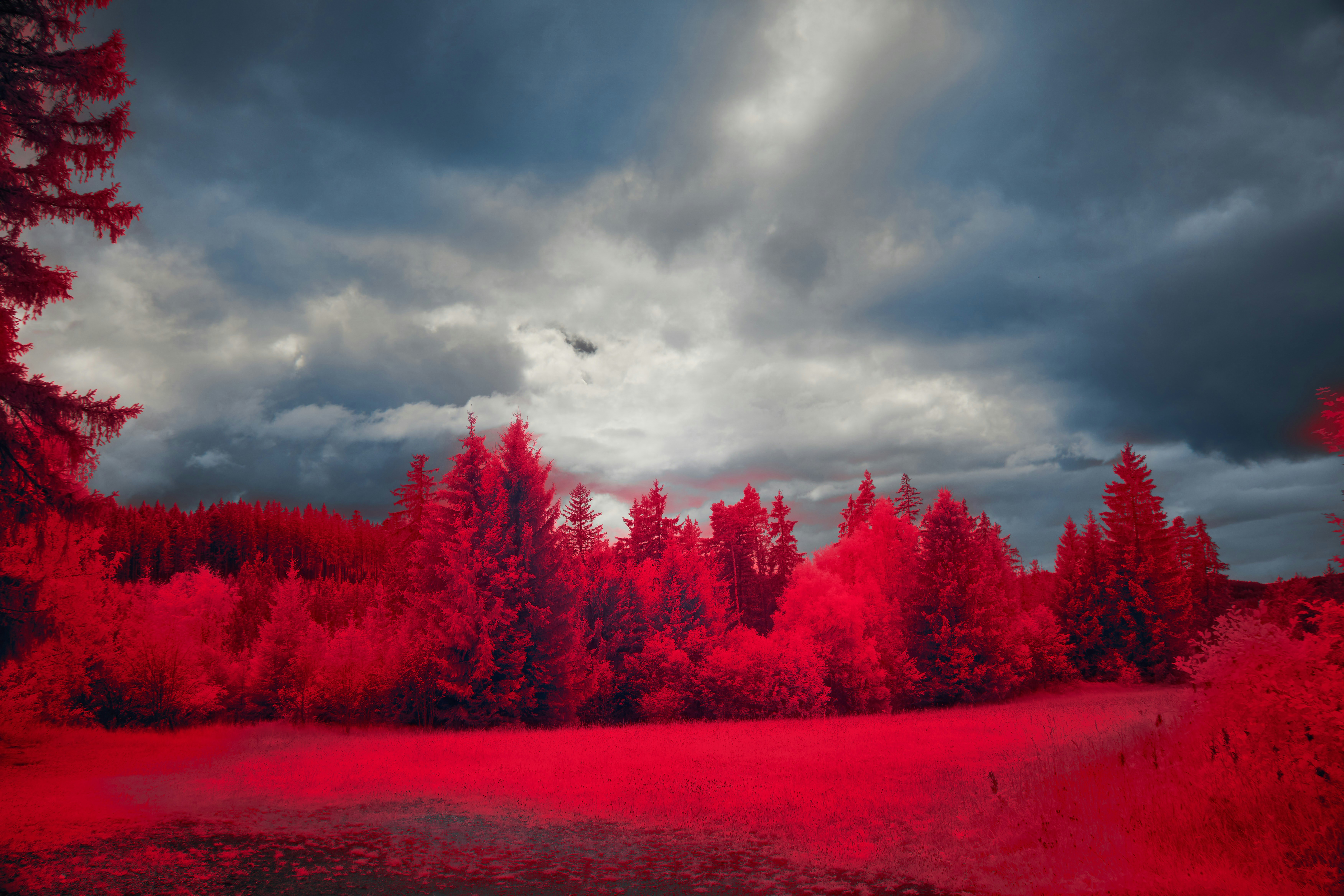 Photo by wolfgang_hasselmann