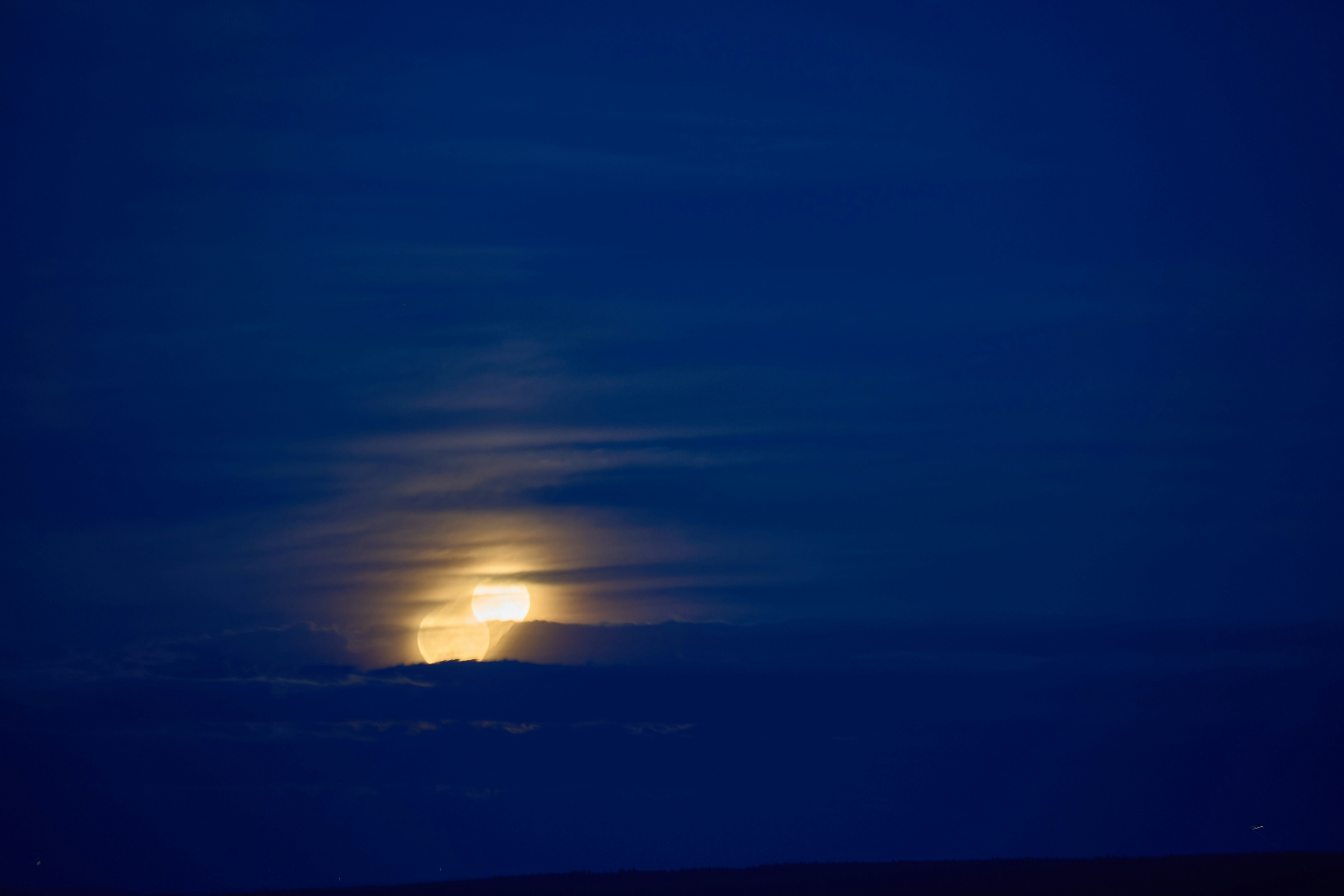 Photo by wolfgang_hasselmann