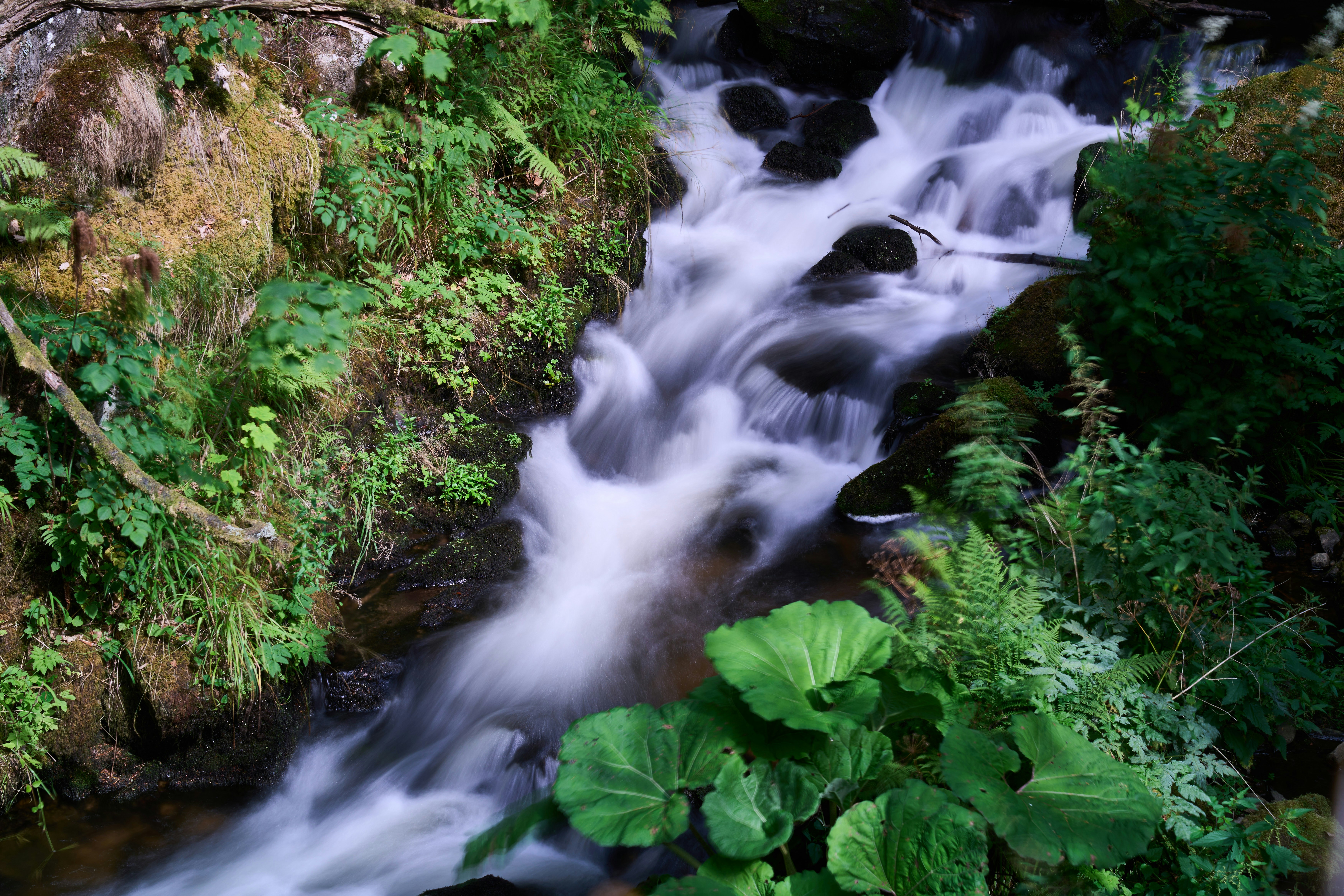 Photo by wolfgang_hasselmann