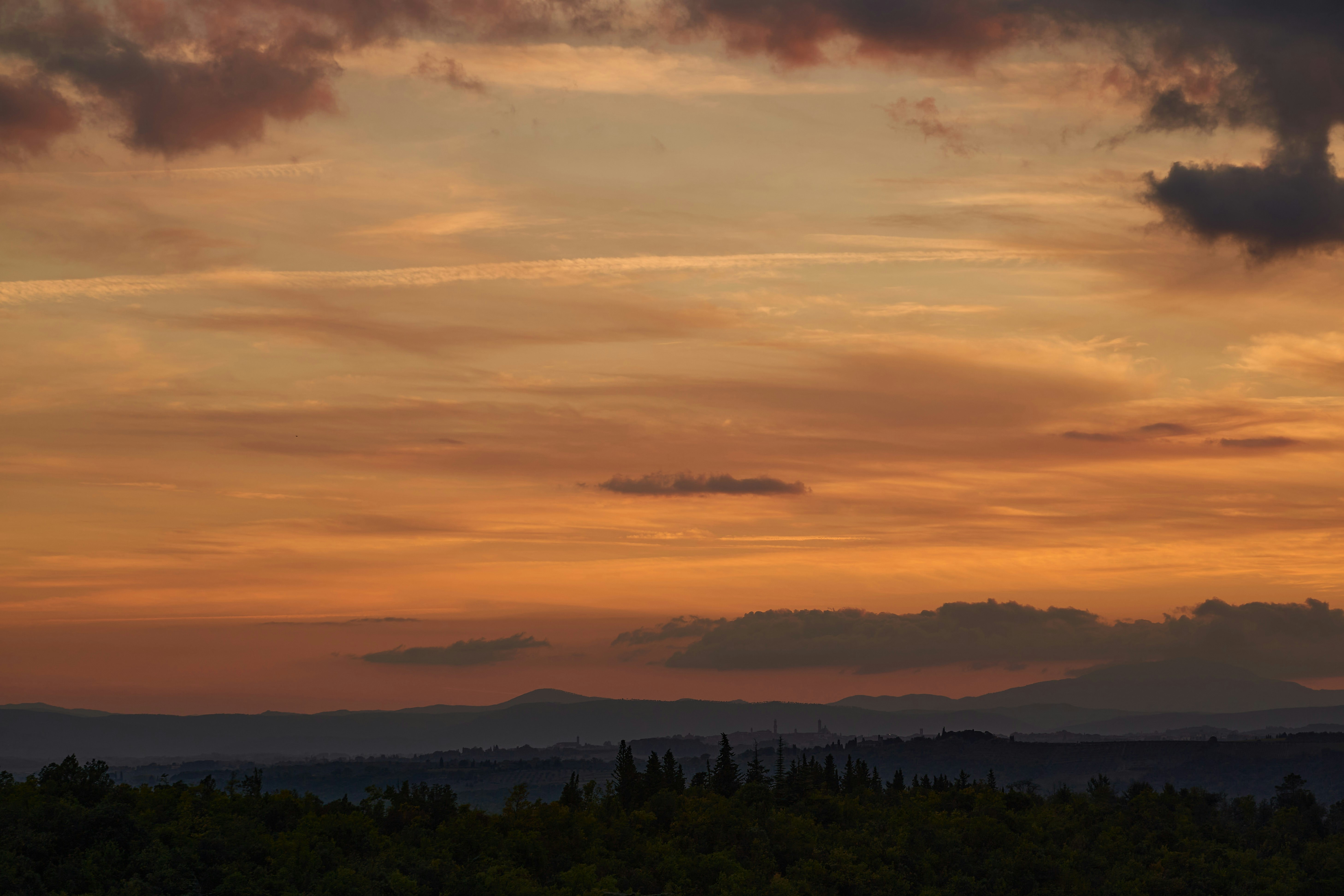 Photo by wolfgang_hasselmann