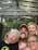 A happy family participating in a nature workshop.