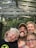 A family of four is smiling and posing for a selfie outdoors. They are standing under a wooden structure with the words 'LET NATURE BE YOUR TEACHER' written on it. The background is filled with green trees.