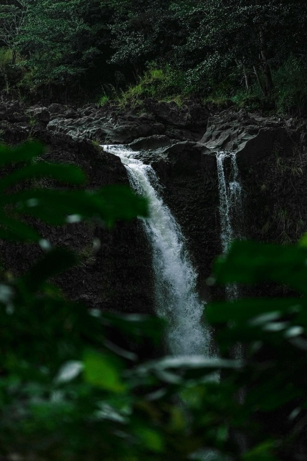 a large waterfall in the middle of a forest