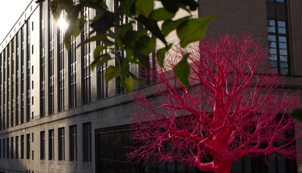 a red tree in front of a building