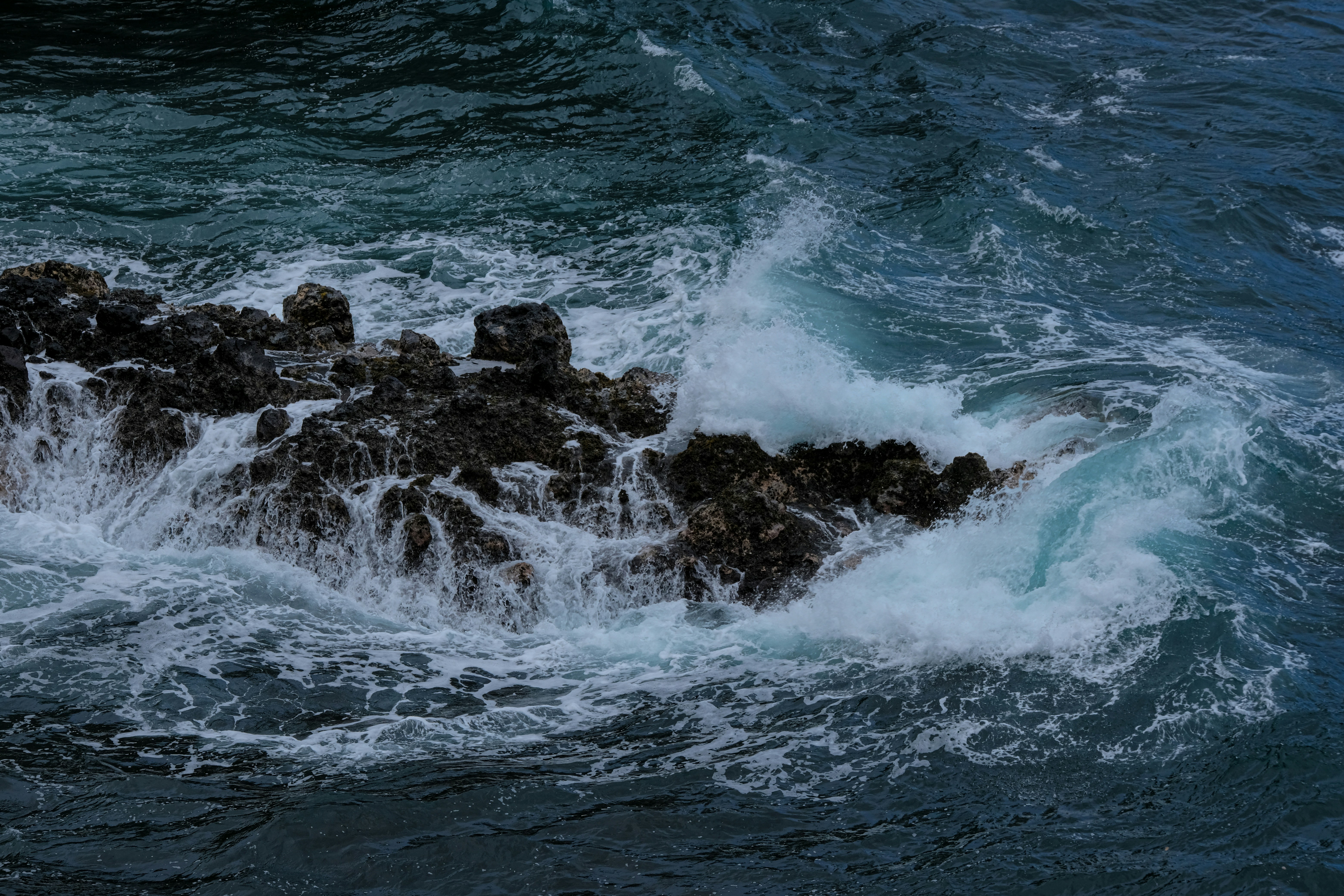 Photo by cestmoisheedy