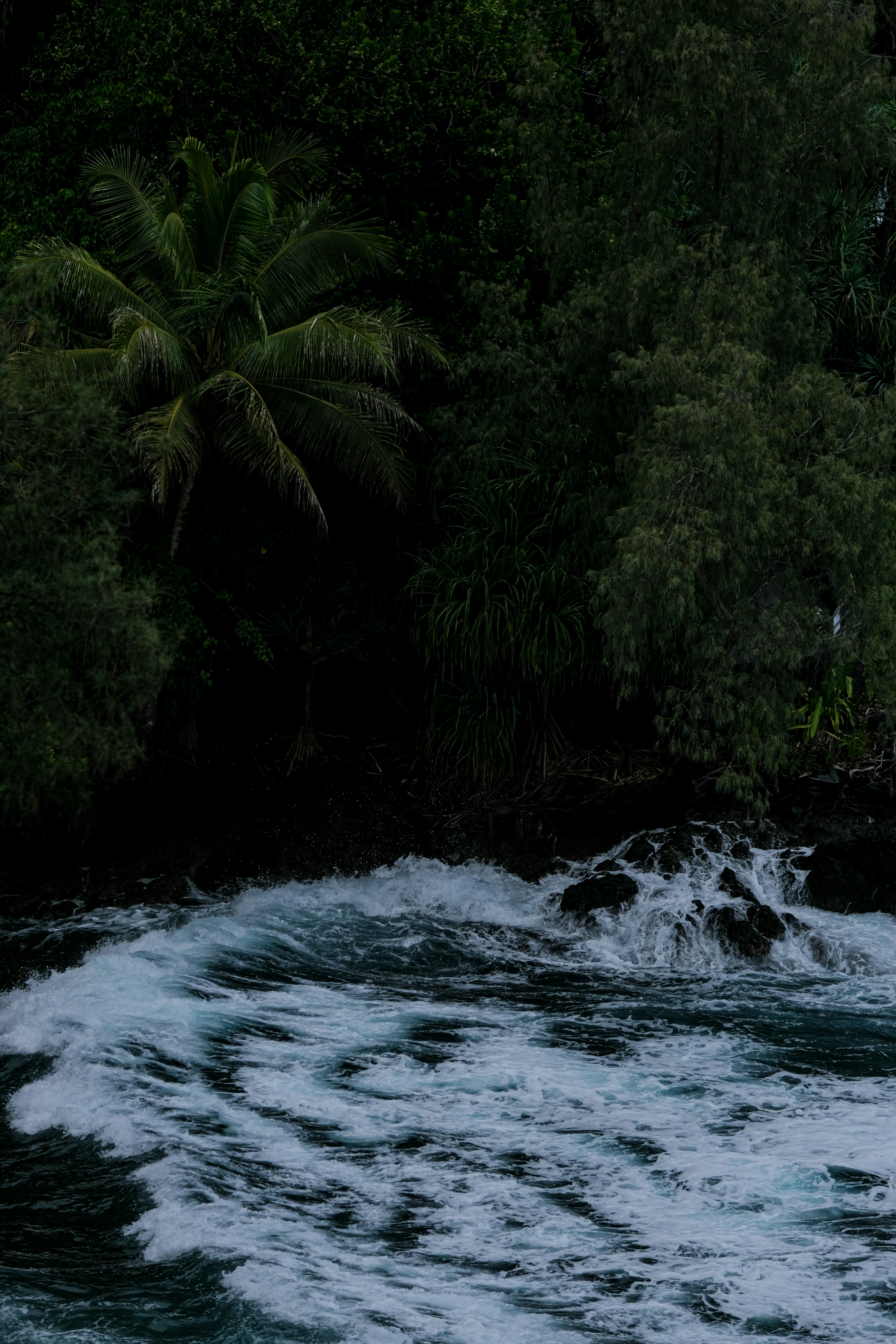 Photo by cestmoisheedy