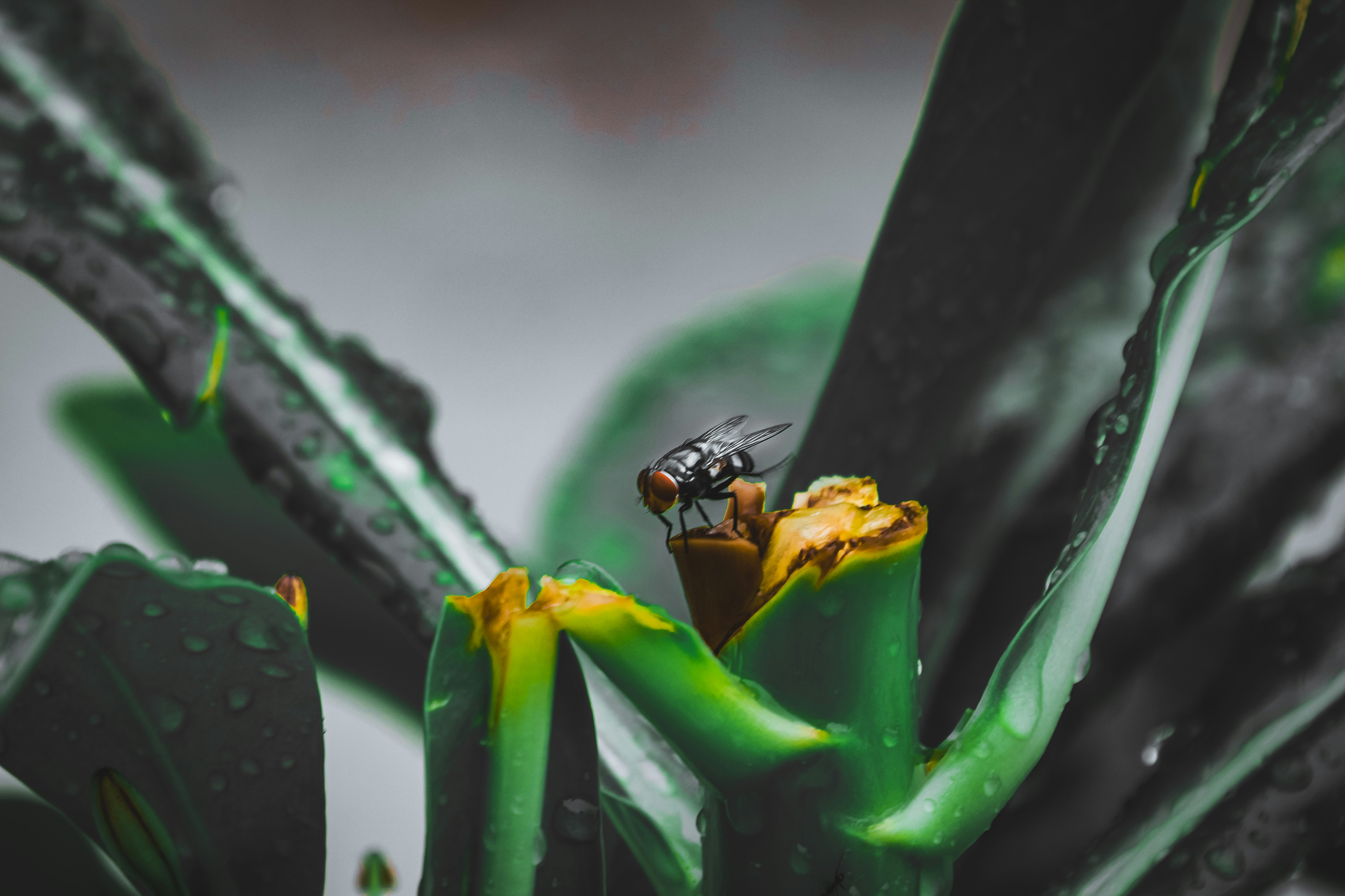 Photo by fladsgn