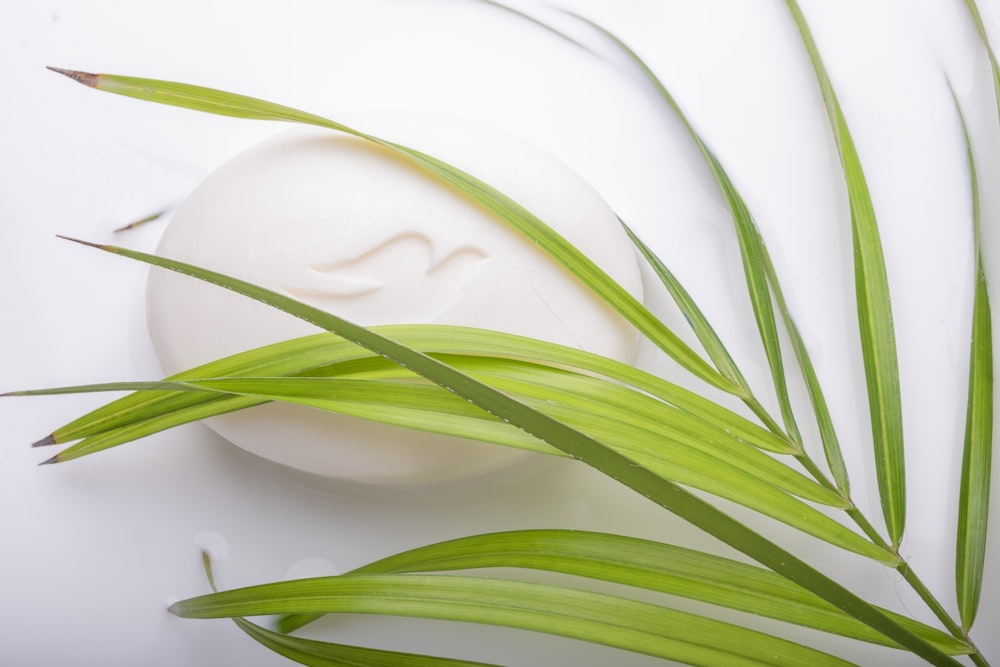 a close up of a soap on a white surface