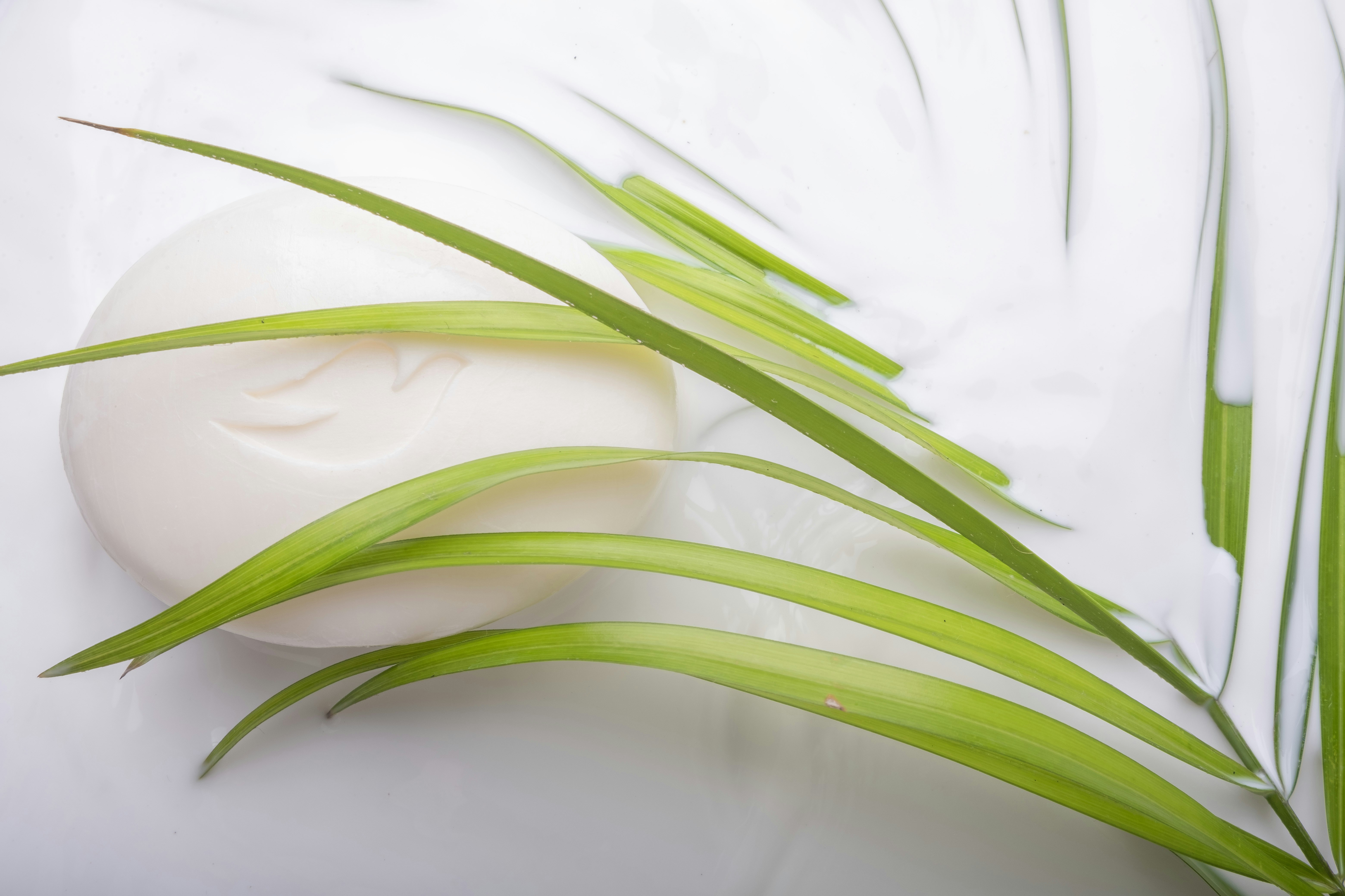 a soap ball sitting on top of a lush green plant