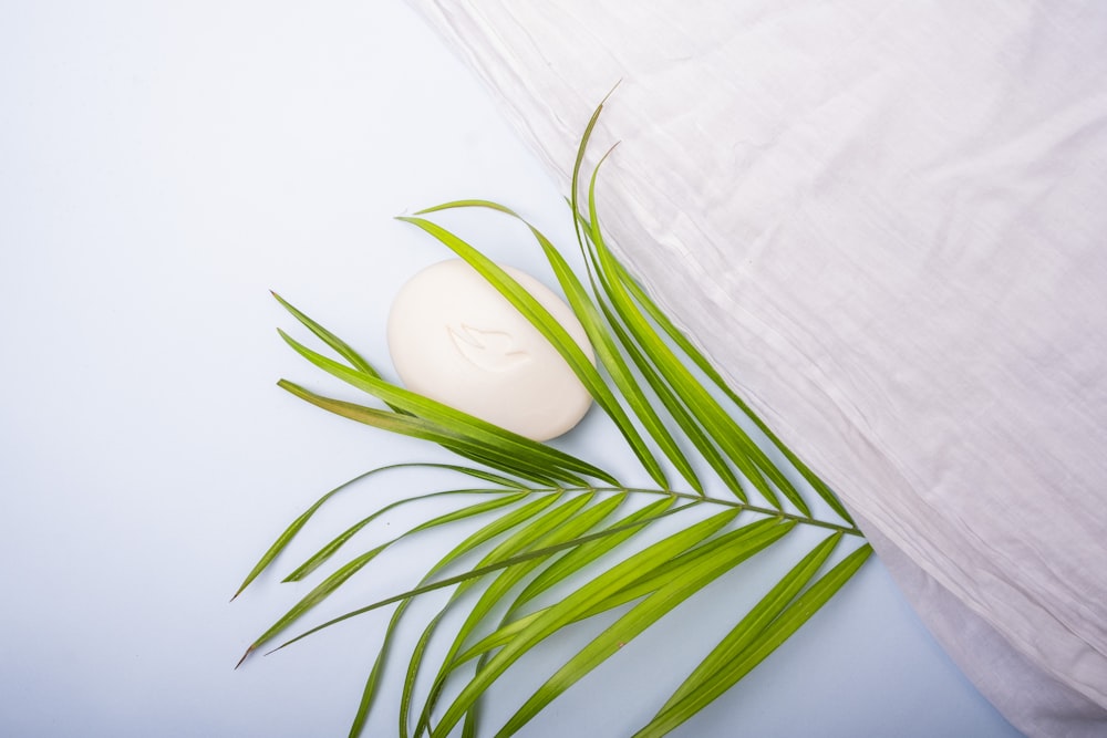 a green plant next to a soap on a blue surface