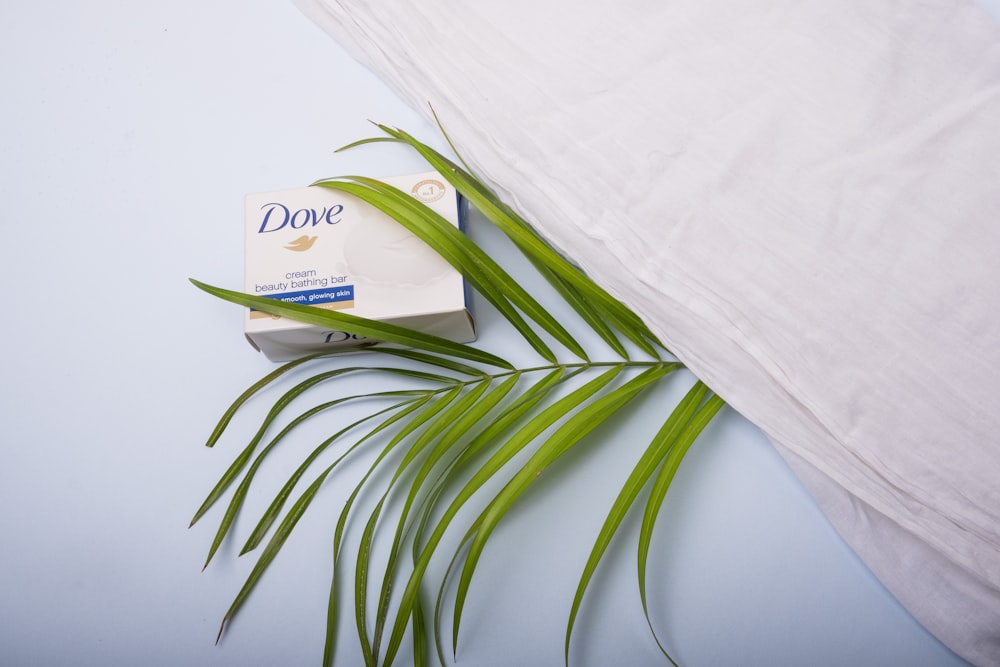 a box of dove soap next to a palm leaf