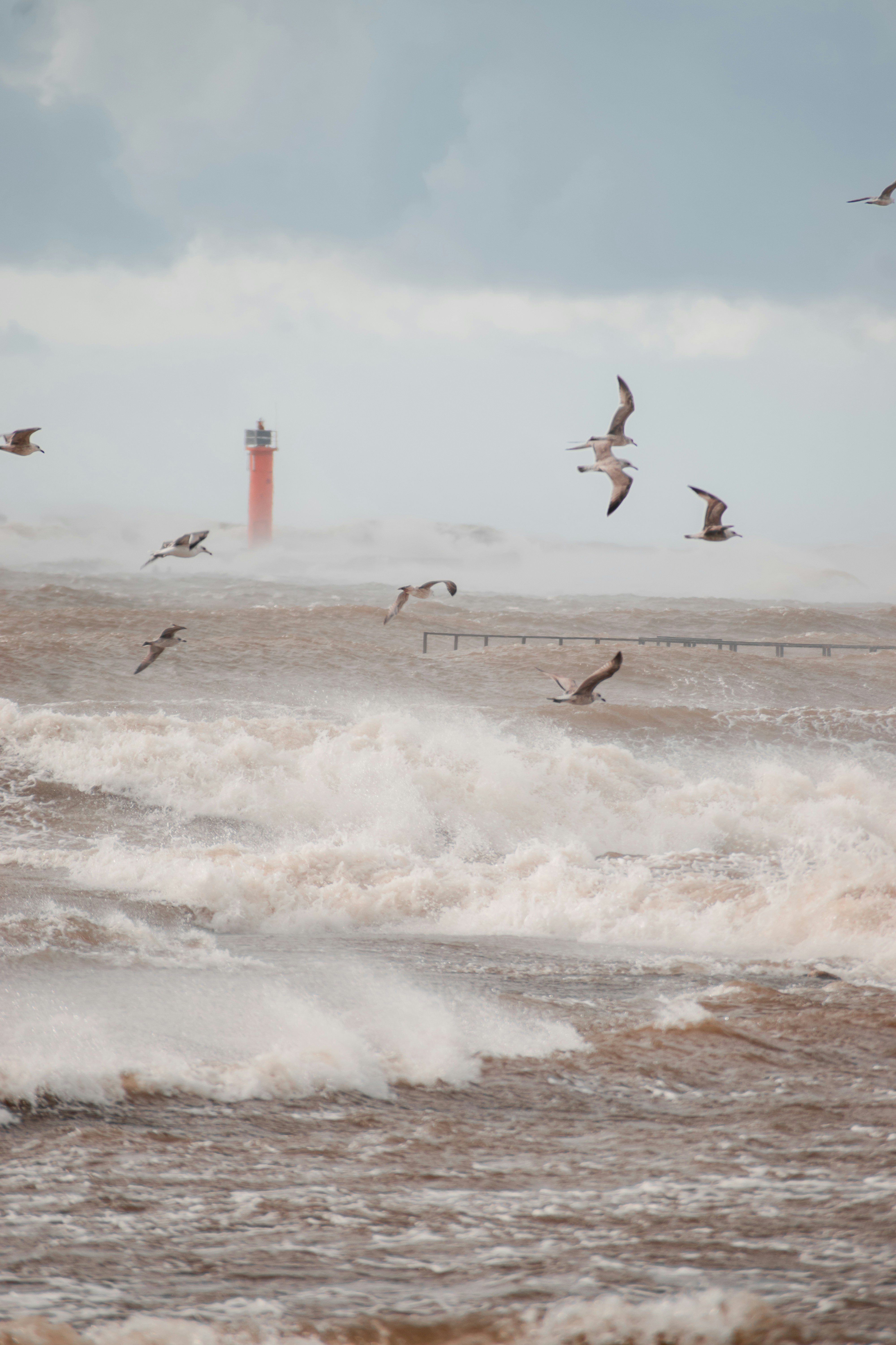 Photo by christina_kozak