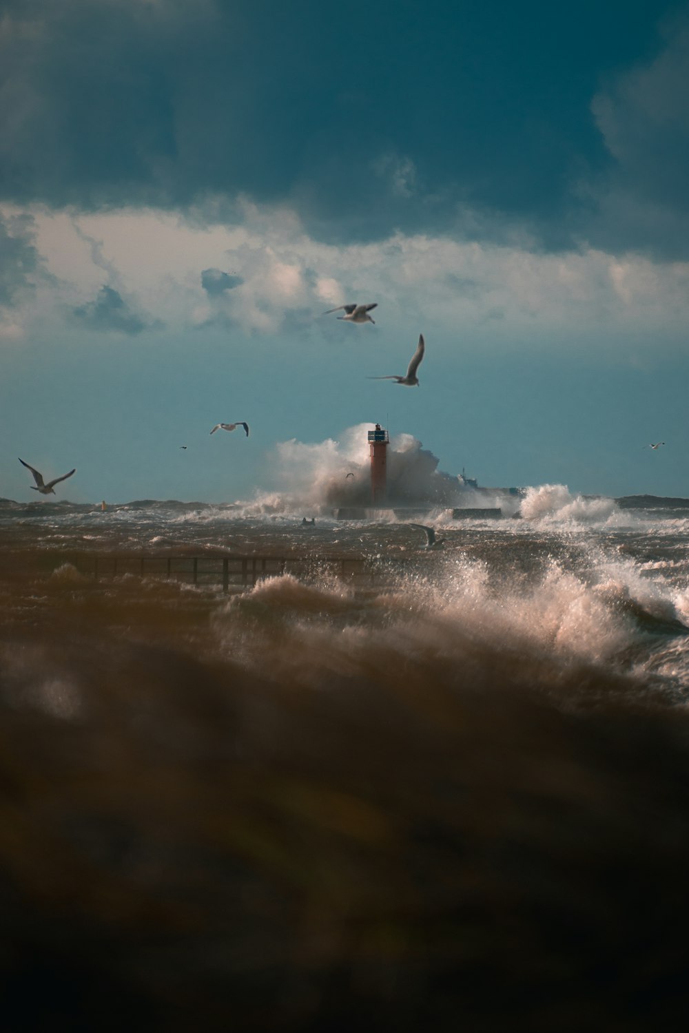 a group of birds flying over a large body of water