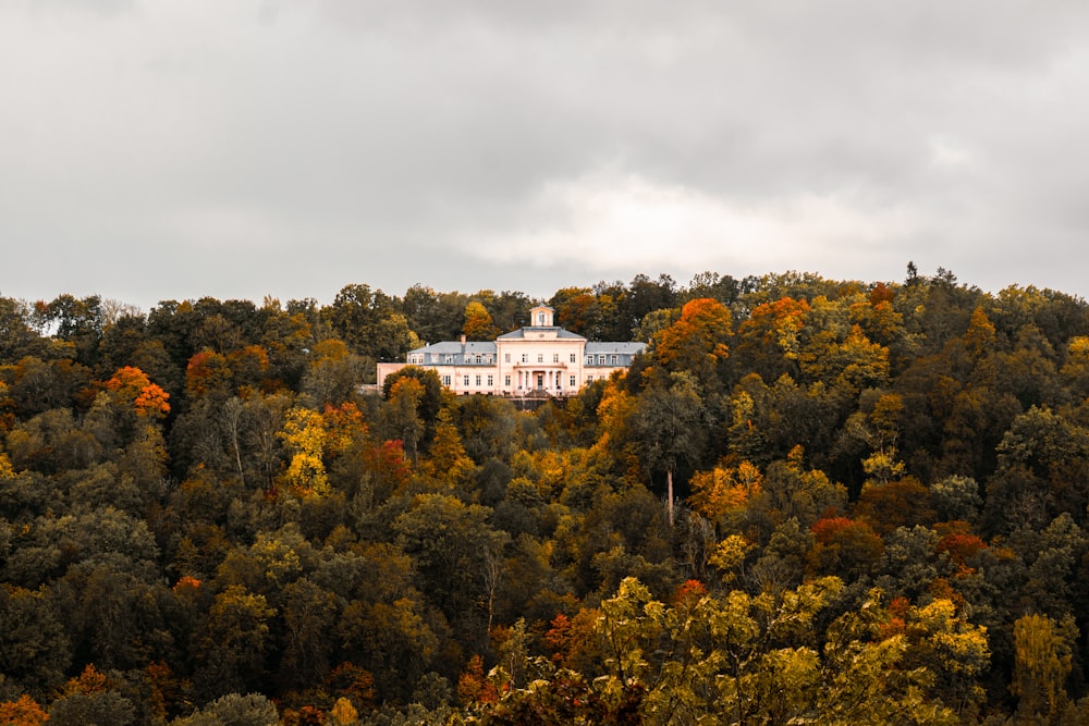a large white house on top of a hill surrounded by trees