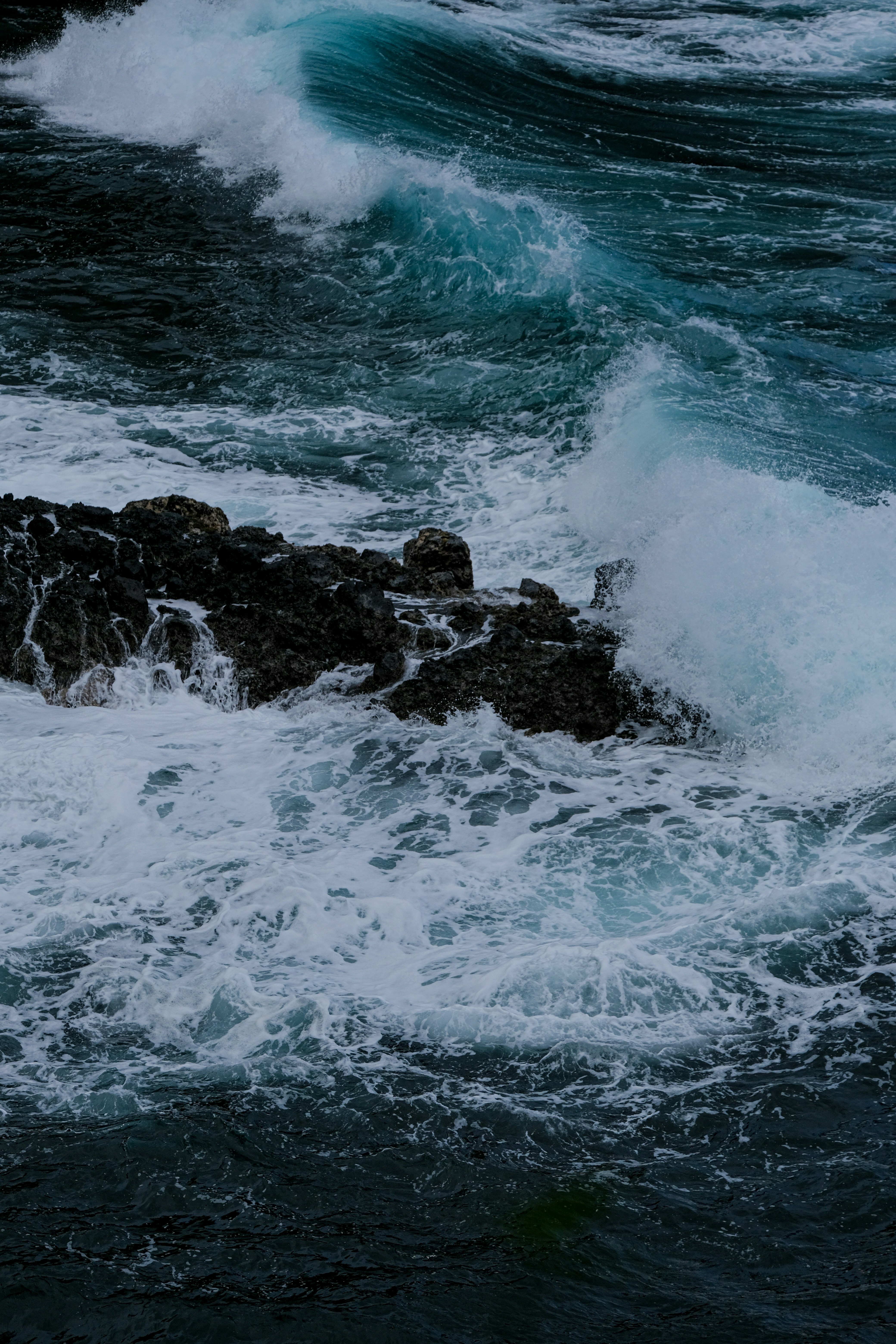 Photo by cestmoisheedy