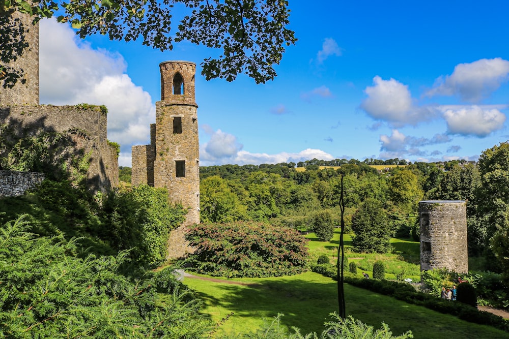 a tall tower sitting in the middle of a lush green forest