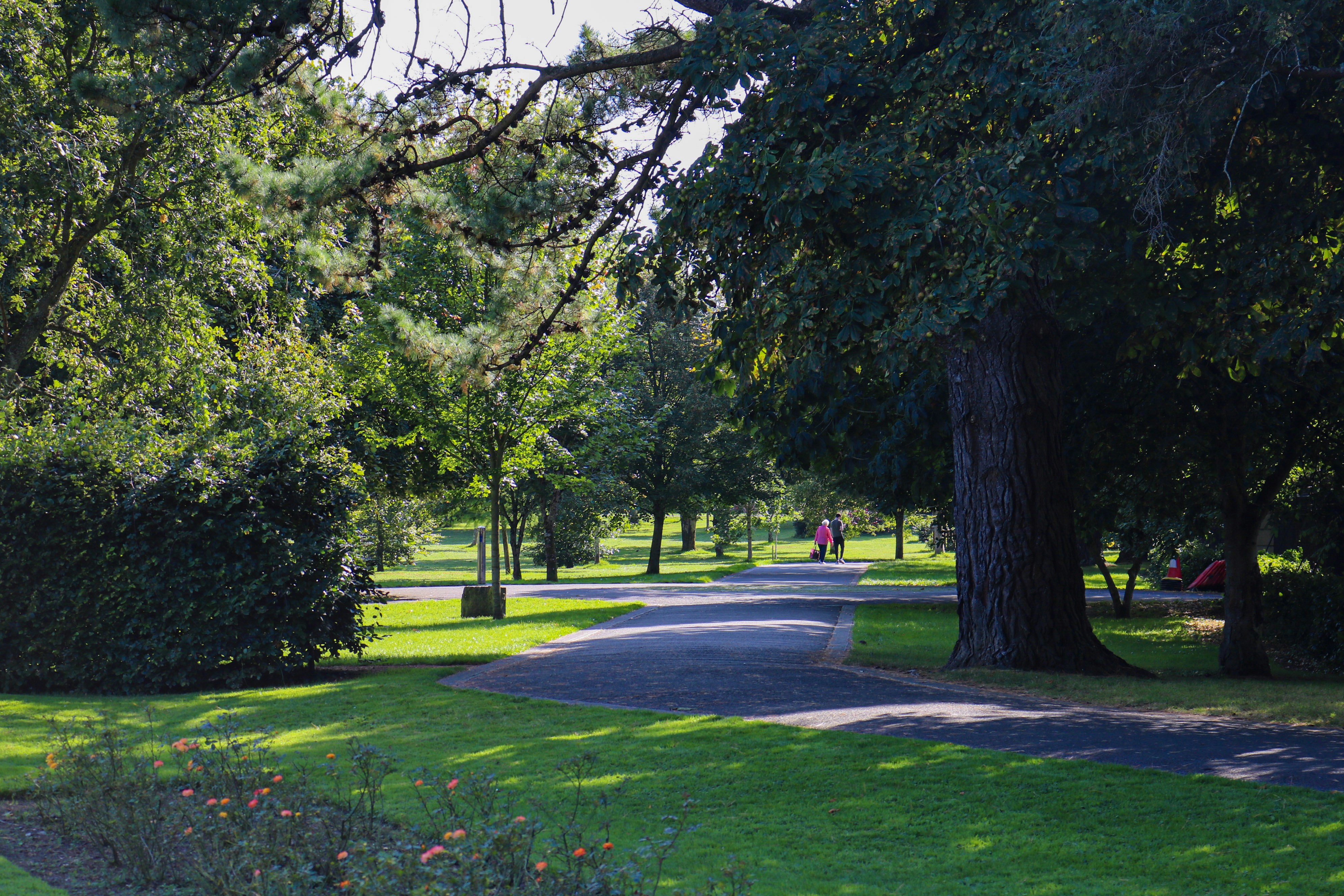 Person walking outdoors on a path through a park, relaxed pace, sunny day